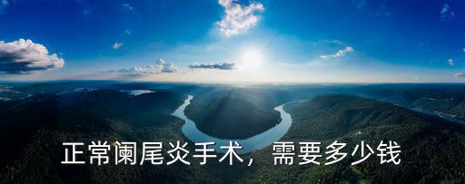 正常闌尾炎手術，需要多少錢