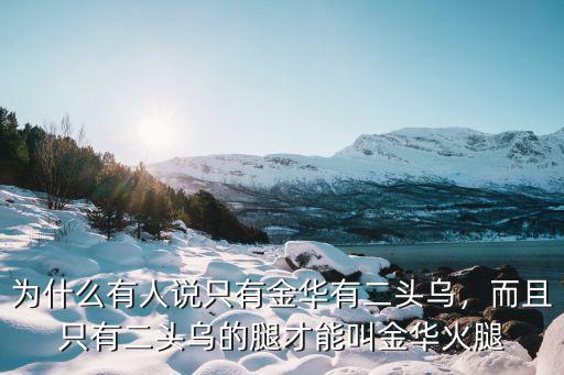 金華兩頭烏養(yǎng)殖場(chǎng)一年多少錢,養(yǎng)金華兩頭烏