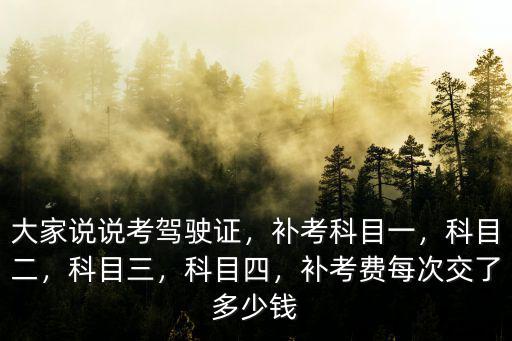 大家說說考駕駛證，補考科目一，科目二，科目三，科目四，補考費每次交了多少錢