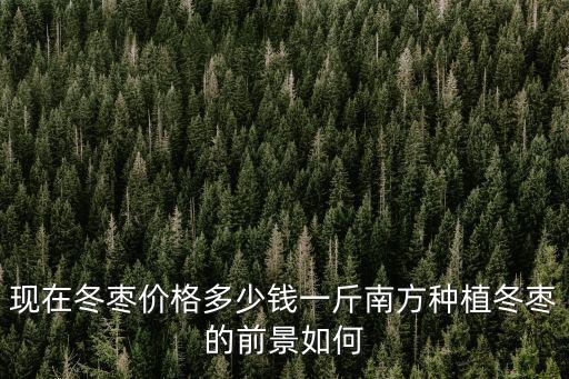 濱州的冬棗價格多少,南方種植冬棗的前景如何