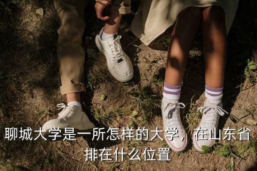 聊城大學(xué)是一所怎樣的大學(xué)，在山東省排在什么位置