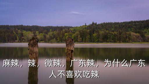 麻辣，辣，微辣，廣東辣，為什么廣東人不喜歡吃辣