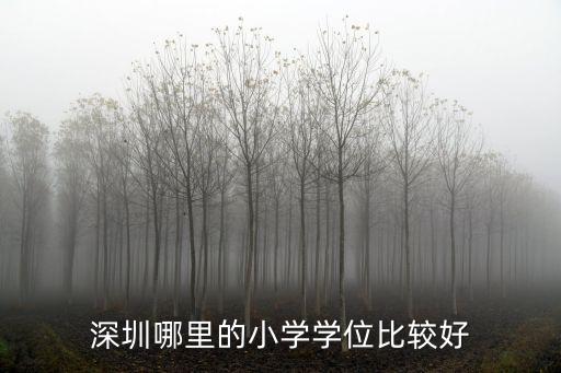 深圳一個(gè)小學(xué)有多少學(xué)生,在深圳上民辦小學(xué)