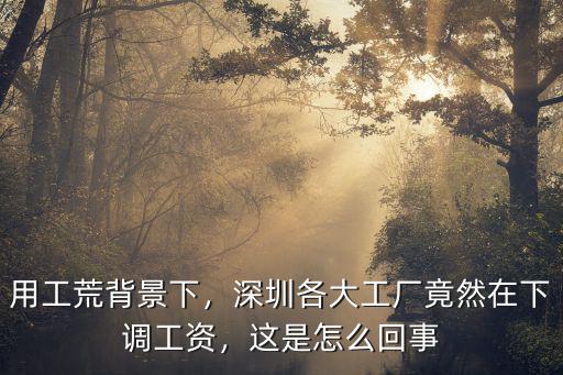 用工荒背景下，深圳各大工廠竟然在下調(diào)工資，這是怎么回事