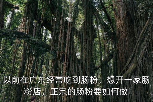 李記正宗廣東腸粉怎么樣,廣東腸粉正宗的配方怎么調