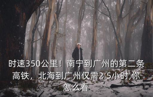 南寧到廣州高鐵有多少趟,北海到廣州僅需2.5小時