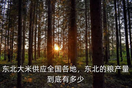 江蘇大米產量是多少,東北的糧產量到底有多少