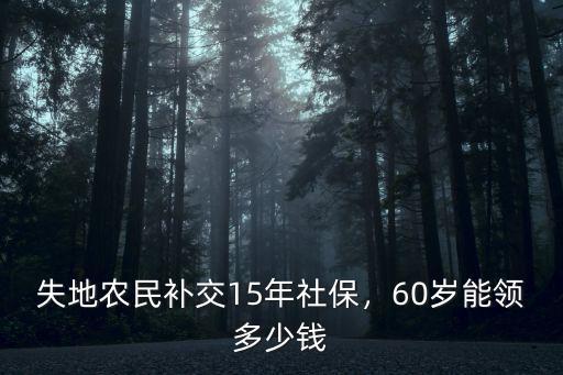 徐州失地農民2019年領多少錢,60歲能領多少錢