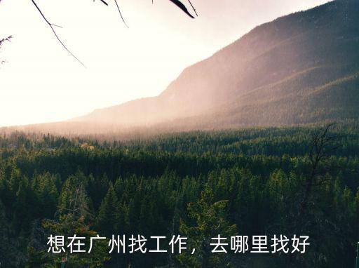 去廣州怎么找辛巴,想在廣州找工作