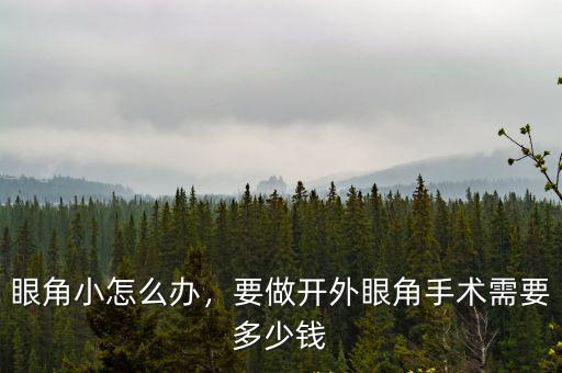深圳開眼角手術(shù)費(fèi)用是多少錢啊,要做開外眼角手術(shù)需要多少錢