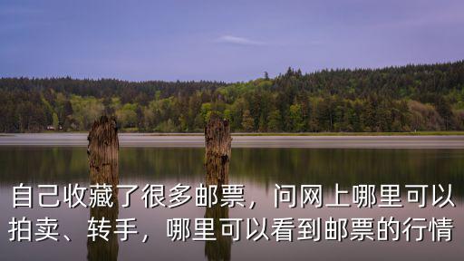 廣州哪里有收藏郵票,自己收藏了很多郵票