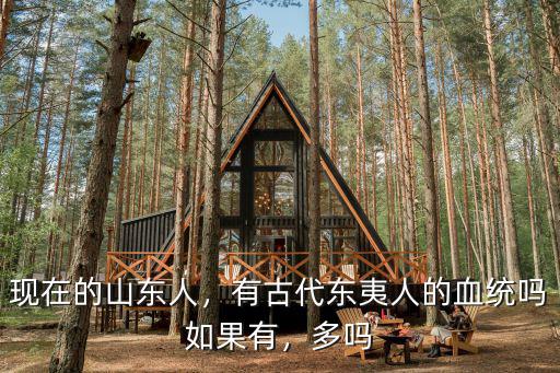 山東人后代有多少,現在的山東人