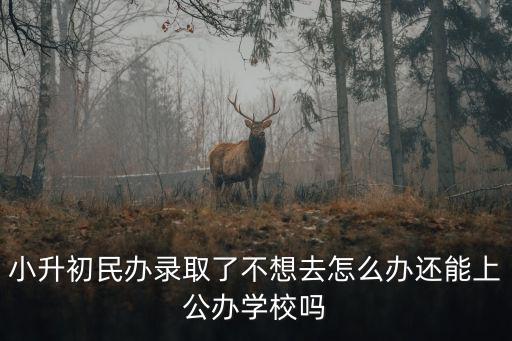小升初民辦錄取了不想去怎么辦還能上公辦學校嗎