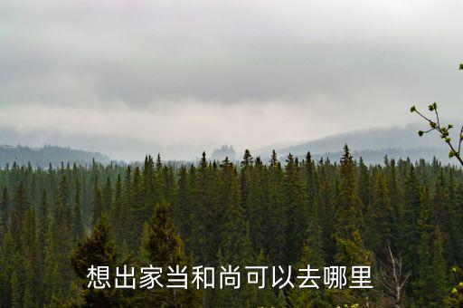 廣東哪里能出家和尚,想出家當和尚可以去哪里