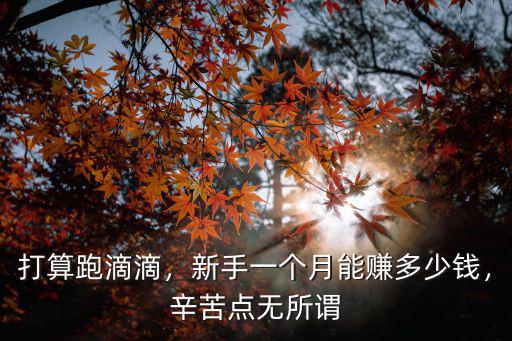 蘇州跑滴滴一個月能賺多少錢,蘇州跑滴滴賺錢嗎