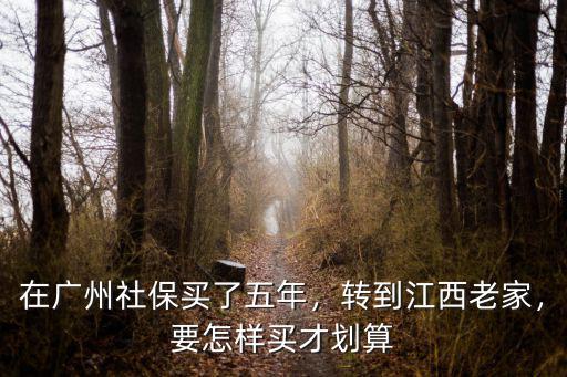 廣州買社保醫保回到老家了怎么辦,轉到江西老家