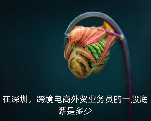 深圳跨境電商怎么掙錢,想做跨境電商