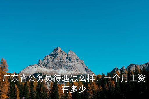 廣州公務(wù)員欠發(fā)工資多少錢,廣東省公務(wù)員待遇怎么樣