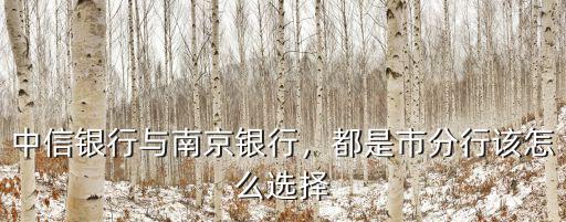 南京中信銀行集慶門分行電話是多少,中信銀行與南京銀行