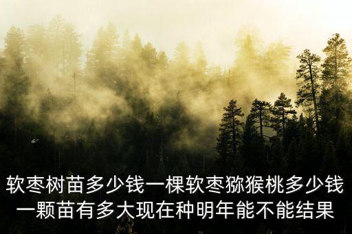 山東軟棗獼猴桃市場價(jià)多少錢,軟棗獼猴桃苗多少錢一株
