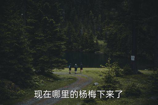 現在哪里的楊梅下來了