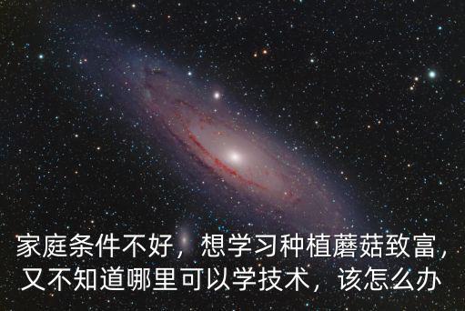 家庭條件不好，想學習種植蘑菇致富，又不知道哪里可以學技術，該怎么辦