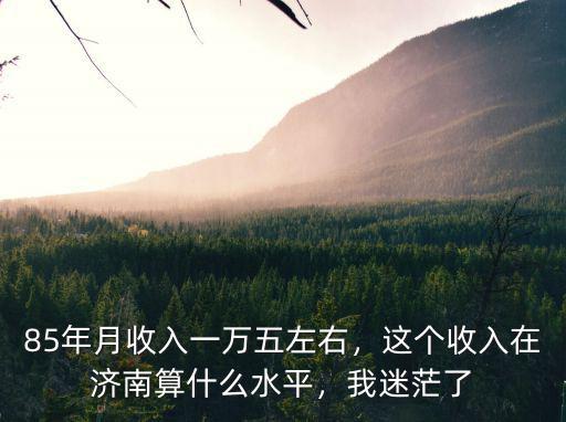 85年月收入一萬五左右，這個收入在濟南算什么水平，我迷茫了
