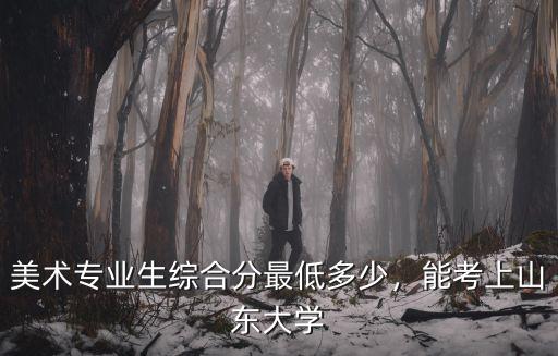 美術(shù)專業(yè)生綜合分最低多少，能考上山東大學(xué)