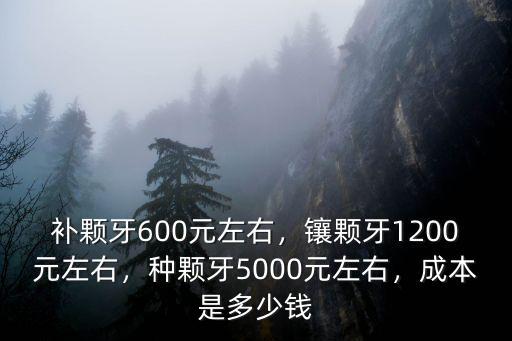 補顆牙600元左右，鑲顆牙1200元左右，種顆牙5000元左右，成本是多少錢
