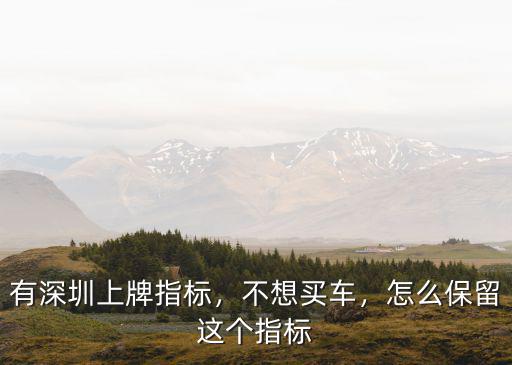 深圳二手車賣后指標怎么保留,有深圳上牌指標
