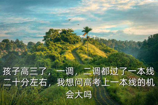 孩子高三了，一調(diào)，二調(diào)都過了一本線二十分左右，我想問高考上一本線的機(jī)會大嗎