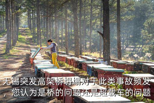 無錫突發高架橋坍塌對于此類事故頻發，您認為是橋的問題還是超載車的問題