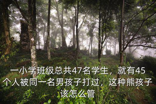 一小學班級總共47名學生，就有45個人被同一名男孩子打過，這種熊孩子該怎么管