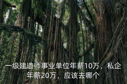 一級(jí)建造師事業(yè)單位年薪10萬(wàn)，私企年薪20萬(wàn)，應(yīng)該去哪個(gè)