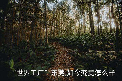 東莞至博電子廠怎么樣,世界工廠東莞