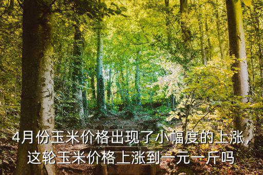 濱州市玉米價(jià)格一般多少一斤,玉米9元一斤