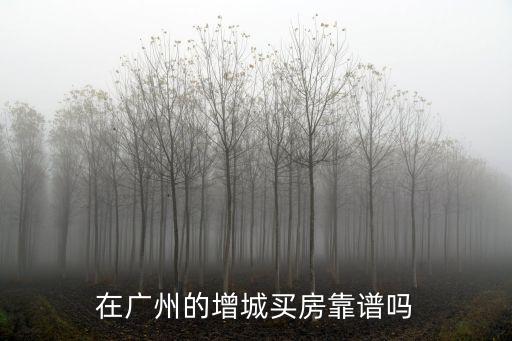 廣州增城城鄉(xiāng)院怎么樣,在廣州的增城買房靠譜嗎