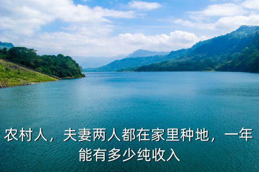 農村人，夫妻兩人都在家里種地，一年能有多少純收入