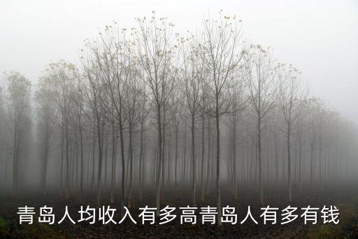 青島的年輕人有多少錢,青島真的適合年輕人居住嗎
