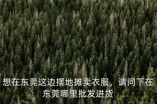 想在東莞這邊擺地攤賣衣服，請問下在東莞哪里批發(fā)進(jìn)貨