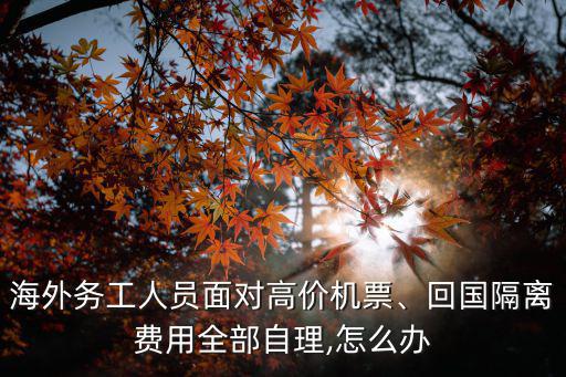 海外務工人員面對高價機票、回國隔離費用全部自理,怎么辦