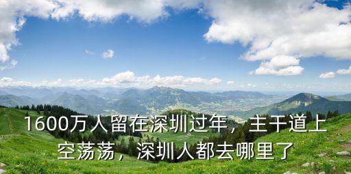 莊心妍深圳哪里人,來了就是深圳人