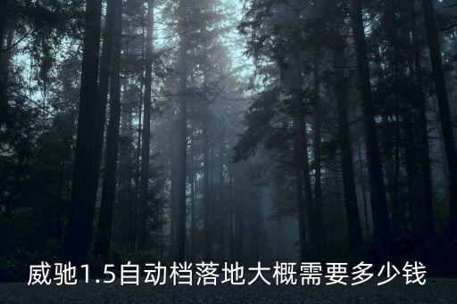 揚(yáng)州威馳自動(dòng)擋低配落地多少錢(qián),威馳1.5自動(dòng)檔中配怎么樣