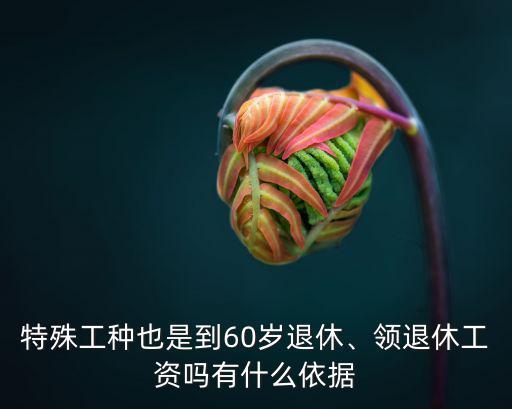 南京特殊工種退休拿多少工資,特殊工種也是到60歲退休