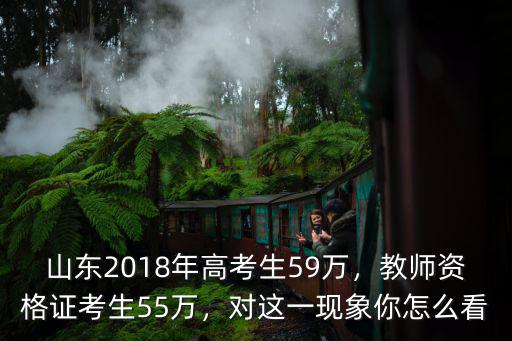 2019年山東一共多少高考生,山東2018年高考生59萬