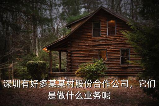 深圳一起種田公司怎么樣,去深圳開公司怎么樣