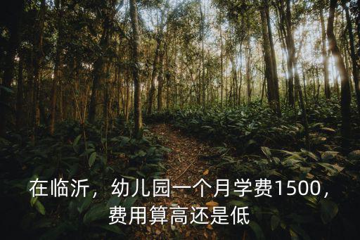 臨沂早教多少錢一個月多少錢一個月,幼兒園一個月學費1500