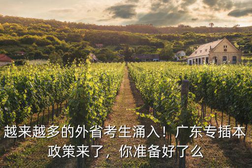 省外怎么回廣東專插本,廣東專插本政策來了