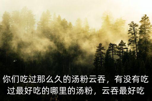你們吃過(guò)那么久的湯粉云吞，有沒(méi)有吃過(guò)最好吃的哪里的湯粉，云吞最好吃