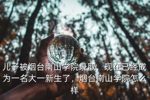 煙臺南山學院獎學金多少,煙臺南山學院怎么樣
